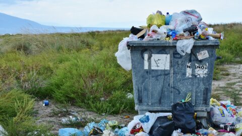 Ordinanza contingibile e urgente del Sindaco per la rimozione di rifiuti abbandonati legittima o illegittima